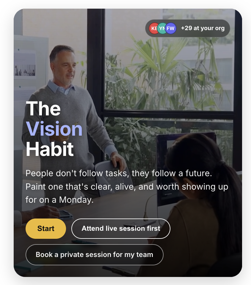 The Vision Habit